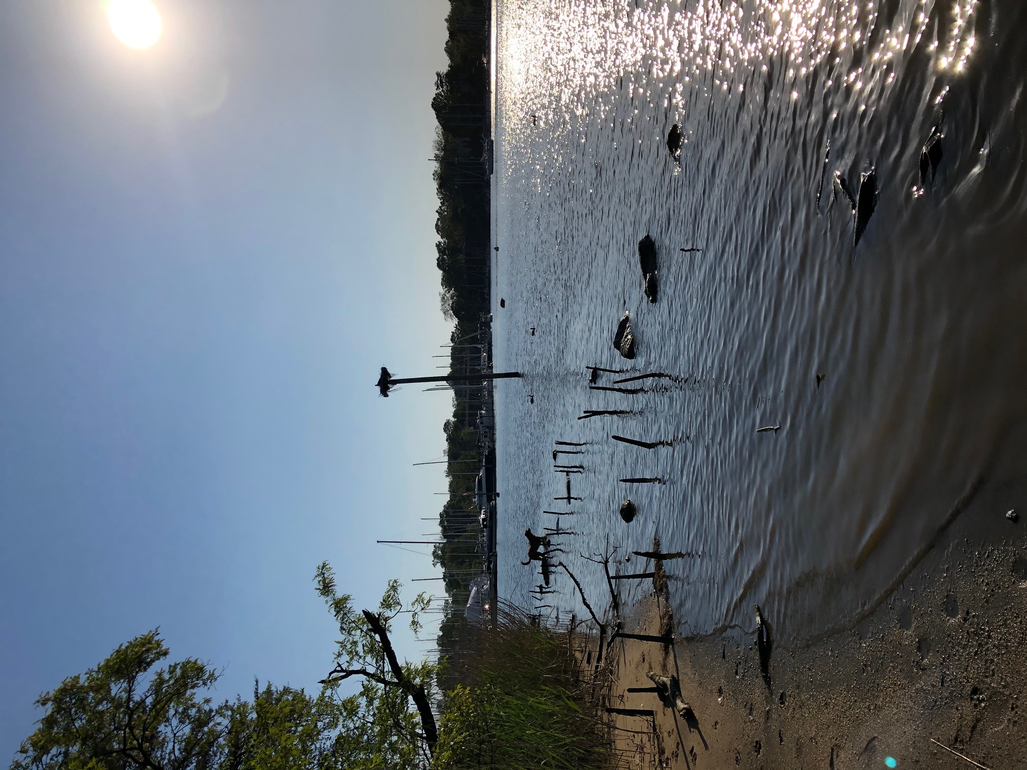 Ellen O. Moyer Nature Park