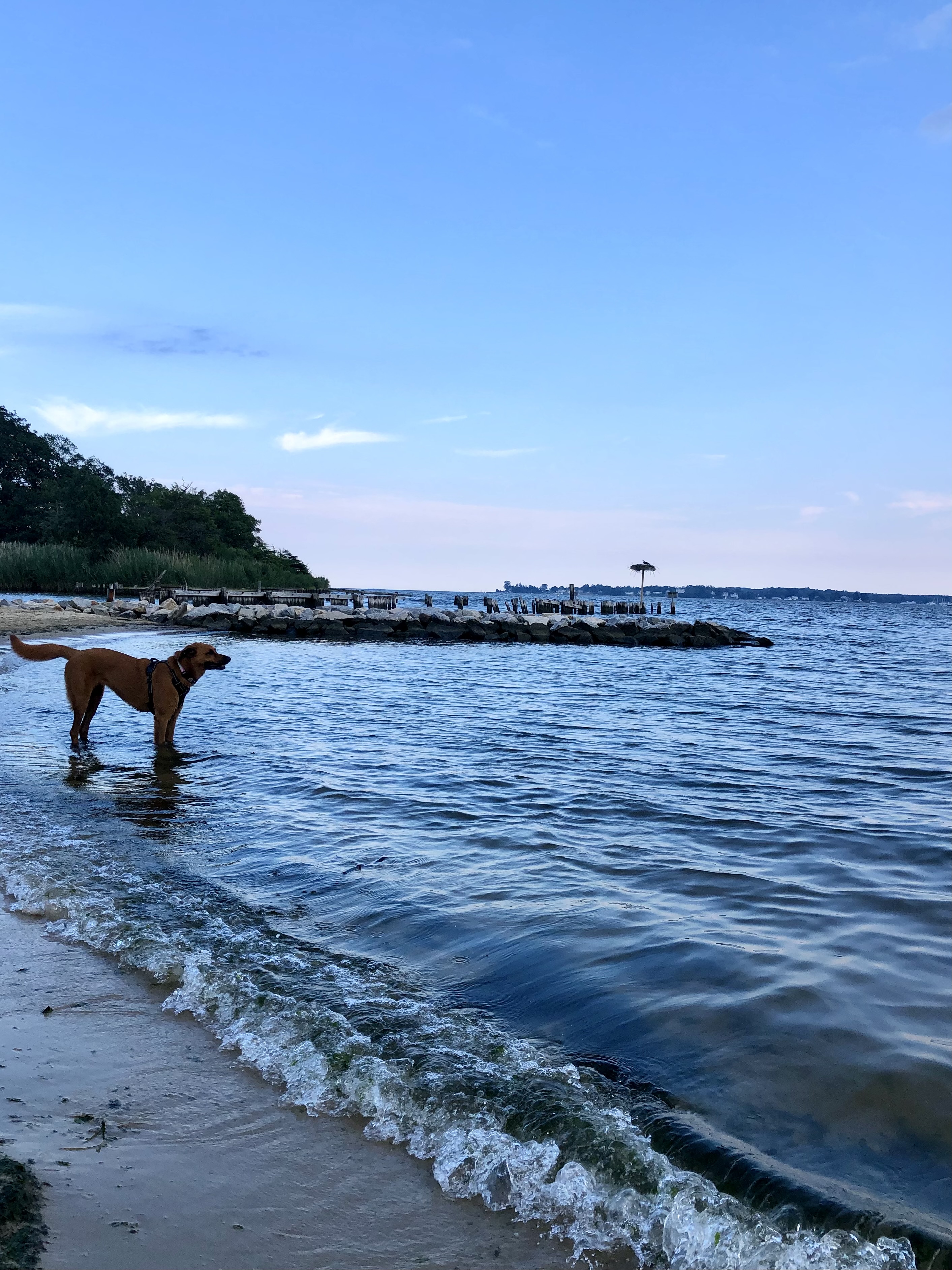 Quiet Waters Park paddle boarding in Annapolis MD